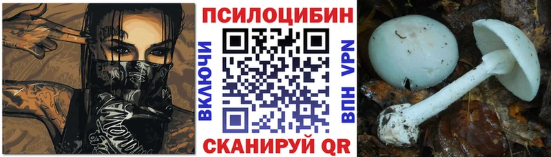 Купить закладки  Клин  Псилоцибиновые грибы ЛСД 